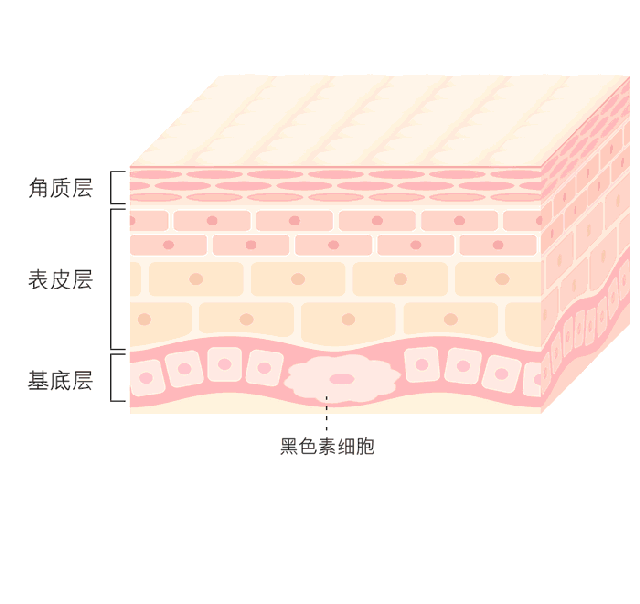 伽美整形丨未來(lái)美白(bái)黑(hēi)科(kē)技—德國(guó)進口美白(bái)艙！